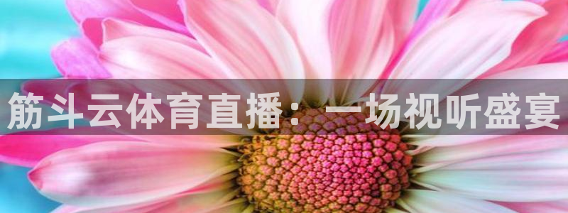筋斗云体育直播：一场视听盛宴