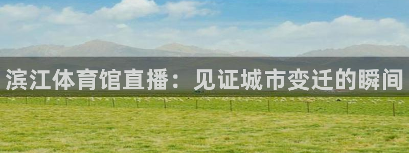 滨江体育馆直播：见证城市变迁的瞬间