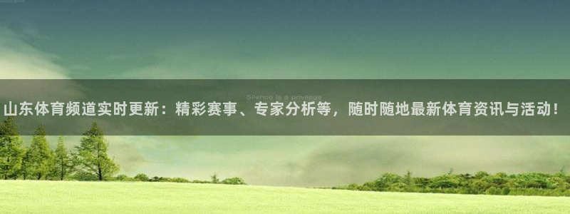 山东体育频道实时更新：精彩赛事、专家分析等，随时随地最新体育资讯与活动！