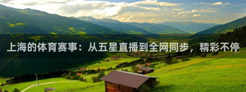上海的体育赛事：从五星直播到全网同步，精彩不停