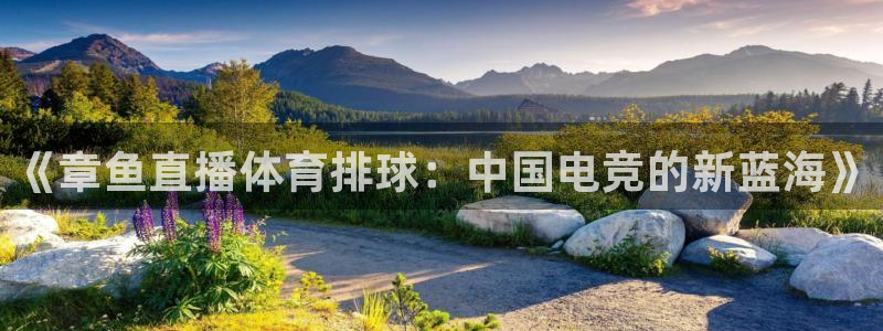 《章鱼直播体育排球：中国电竞的新蓝海》