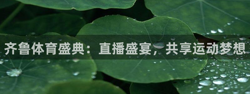 齐鲁体育盛典：直播盛宴，共享运动梦想