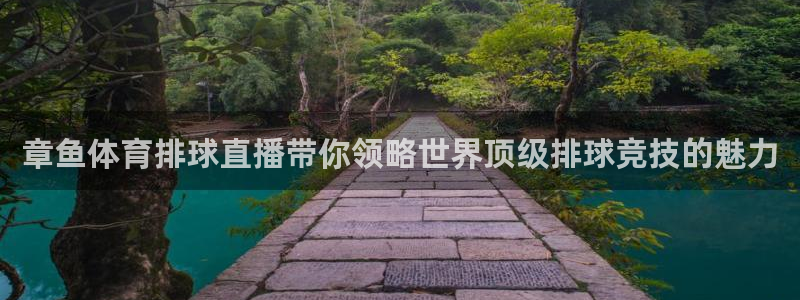 章鱼体育排球直播带你领略世界顶级排球竞技的魅力