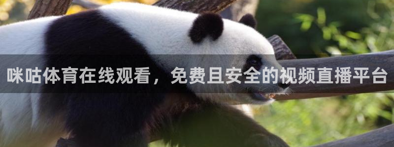 咪咕体育在线观看，免费且安全的视频直播平台