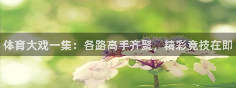 体育大戏一集：各路高手齐聚，精彩竞技在即