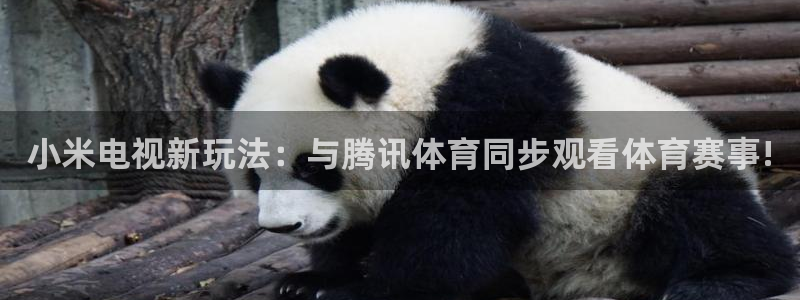小米电视新玩法：与腾讯体育同步观看体育赛事!