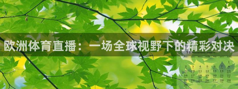 欧洲体育直播：一场全球视野下的精彩对决