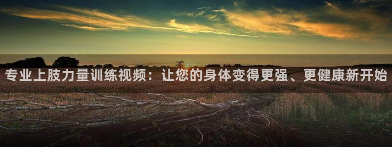 专业上肢力量训练视频：让您的身体变得更强、更健康新开始