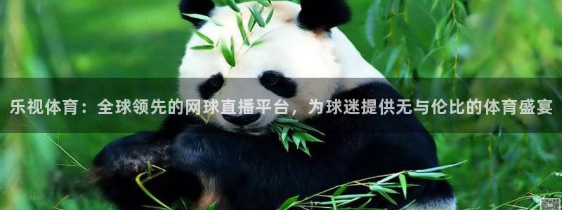 乐视体育：全球领先的网球直播平台，为球迷提供无与伦比的体育盛宴