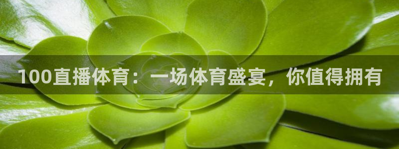 100直播体育：一场体育盛宴，你值得拥有
